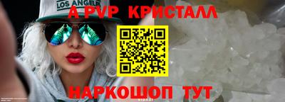 стафф Камышлов