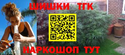 стафф Камышлов