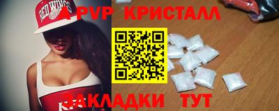 стафф Камышлов