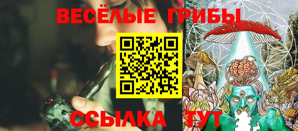 Усть-Джегута  Псилоцибиновые грибы прущие грибы  Вход с VPN 